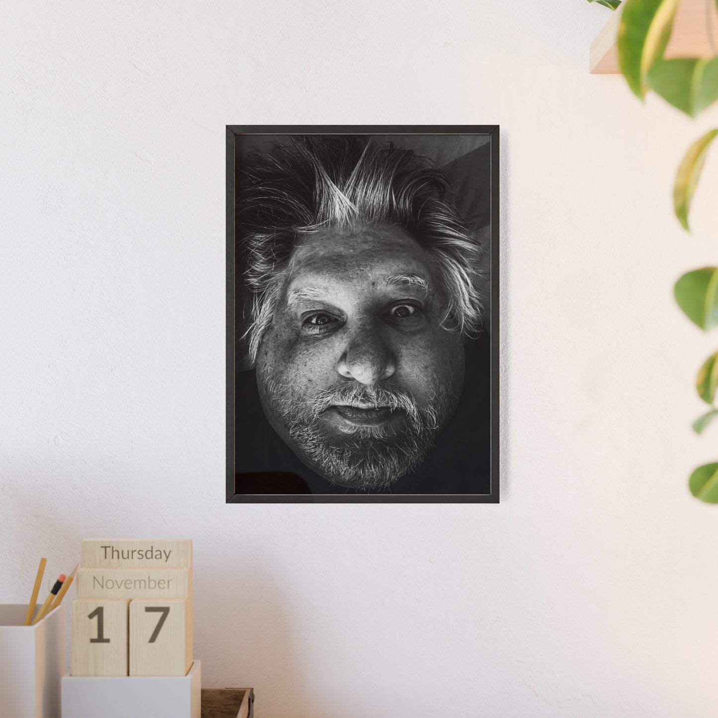 Scaplen Posters with Wooden Frame