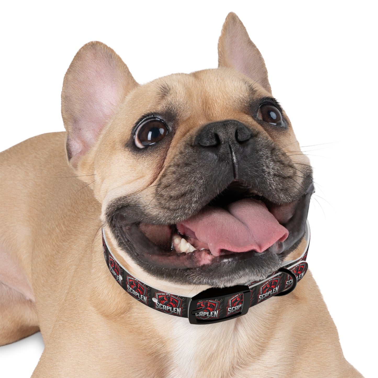 Dog Collar - Scaplen Design