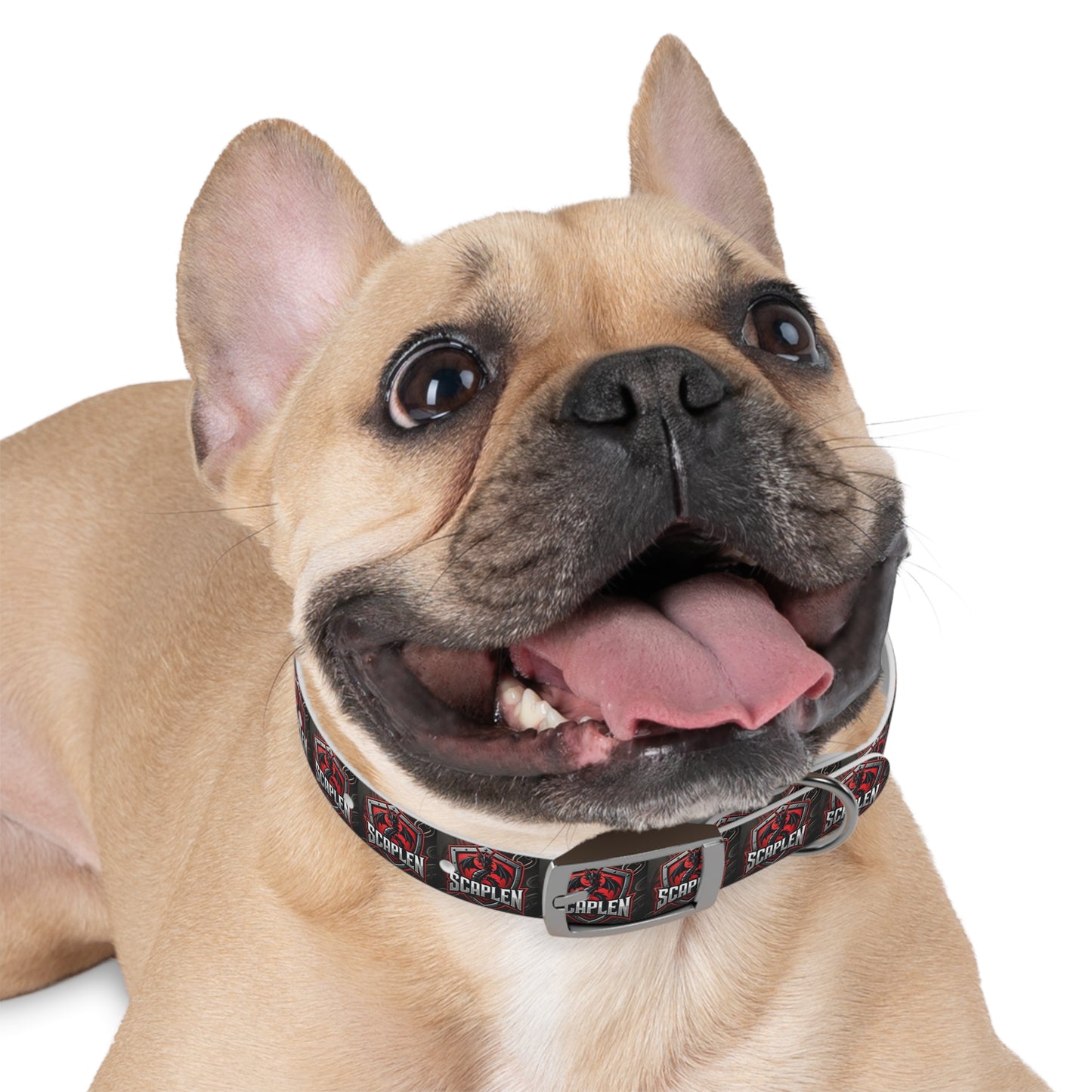 Dog Collar - Scaplen Design