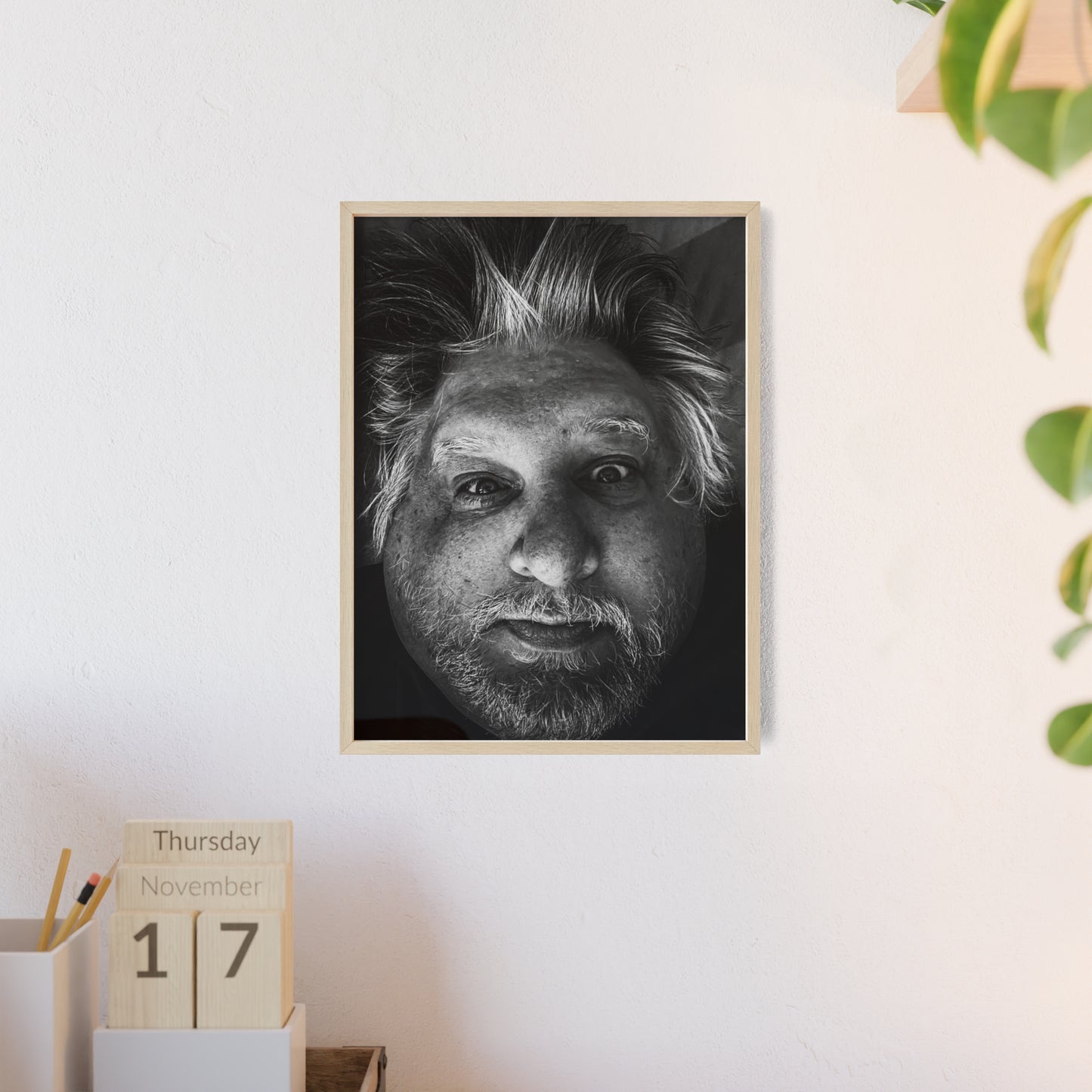 Scaplen Posters with Wooden Frame