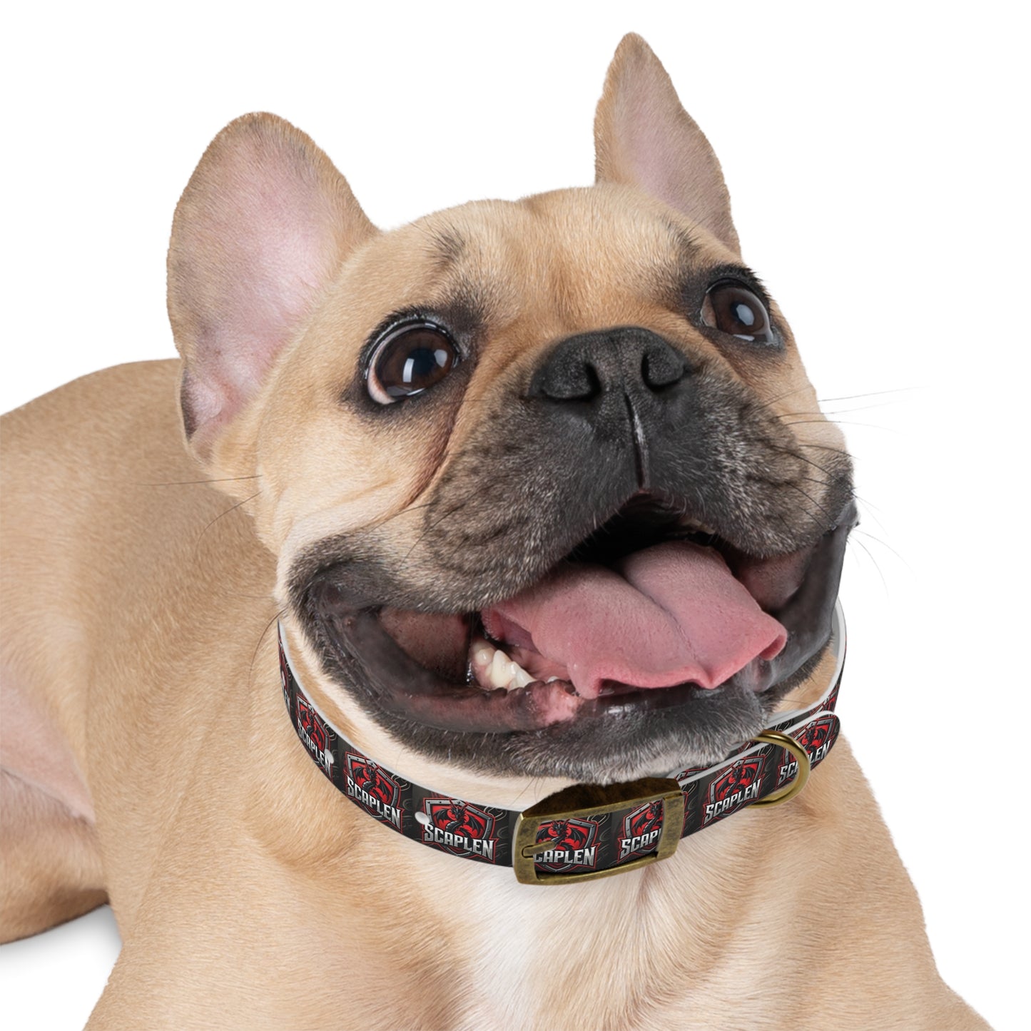 Dog Collar - Scaplen Design